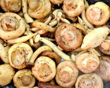 Foto del paso 2 de la receta: Salteado de setas y champiñones con miel