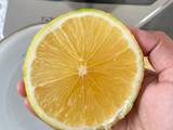 Lemon Tea🍋