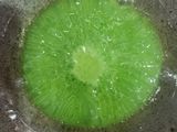 Kue Cucur Pandan