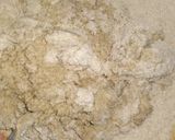 Foto del paso 3 de la receta: Pan integral lactal