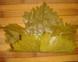 A picture of step 8 of Stuffed vine leaves rolls (Dolmeh).