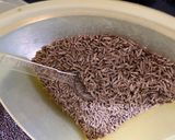 दाल ताड़का और जीरा राइस (Dal tadka aur jeera rice recipe in Hindi) रेसिपी चरण 6 फोटो