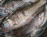 Foto langkah ke 2 dari resep Pepes ikan sungai.