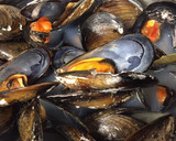 Foto del paso 4 de la receta: Mejillones a la sidra