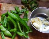 टेस्टी क्रिस्पी पनीर(Tasty crispy paneer recipe in Hindi) रेसिपी चरण 2 फोटो