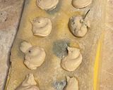 A picture of step 3 of Spotted Ravioli Filled with Salmon Cream and Shrimp Sauce.