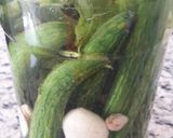 عکس مرحله 6 از دستور خیارشور خانگی