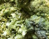 A picture of step 2 of Broccoli Paratha.