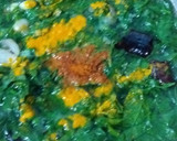 மணத்தக்காளி கீரை துவரம் பருப்பு கூட்டு ரெசிபி ஸ்டேப் 3 புகைப்படம்
