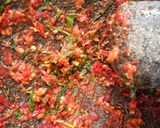 Foto langkah ke 2 dari resep Sambal Kencur penyet tempe.