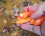 Foto langkah ke 5 dari resep "OSENG MERCON KIKIL DAN JEROAN SAPI" Pedesnya Nampoool.