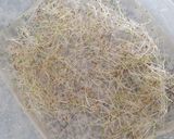 Foto del paso 3 de la receta: 🌱👩🏻‍🌾 Germinados en casa de Chía y lino