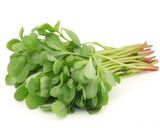 عکس مرحله 2 از دستور ترشی خرفه (پرپین یا پرپهن)