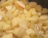 A picture of step 2 of Apple sauce (Filling for mini apple pie).