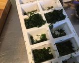 Une image de l'étape 7 de Émincé de pommes de terre à l'ail fumé et persil.