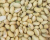 صورة لخطوة 1 من وصفة كيف نصنع جبنة التوفو و حليب الصويا