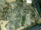 Keripik bayam