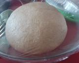 Foto del paso 4 de la receta: Pan de molde sin corteza 100% espelta integral con masa madre