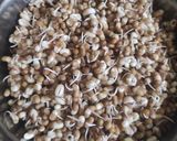 A picture of step 1 of Moth beans usal.