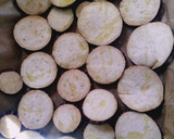 Foto del paso 1 de la receta: Lasaña de berenjenas