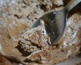 Foto del paso 3 de la receta: Postre de chocolate keto fácil