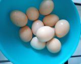 Aszpikos szivárvány szelet recept fázis 1 fotója