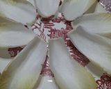 Foto del paso 1 de la receta: Plato de endivias con fiambres