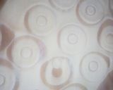 A picture of step 3 of Doughnuts.