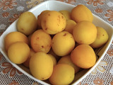 مارمالاد زردآلو