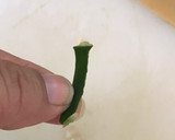 Foto del paso 2 de la receta: Filete de mojarra al epazote con pepinos en vinagre de sidra de manzana. 100% libre de grasa