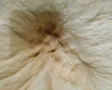 Foto langkah ke 2 dari resep Pizza buah.