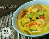 Foto langkah ke 4 dari resep Sayur Lodeh ala Melz.