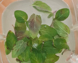 Foto del paso 2 de la receta: Agua de hierbabuena