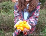 Μαρμελάδα kumquat. Η πιο ξεχωριστή του κόσμου! φωτογραφία βήματος 17