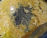 Foto langkah ke 2 dari resep Bubur kacang hijau hongkong.