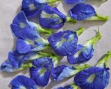 A picture of step 1 of Butterfly pea flower tea.