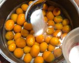 Foto del paso 2 de la receta: Mermelada de quinotos