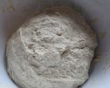 Foto del passaggio 4 della ricetta Impasto a lunga lievitazione