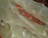 Foto del paso 3 de la receta: Hamburguesas caseras, muy fácil