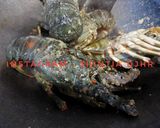 Foto langkah ke 2 dari resep Lobster saus pedas manis.
