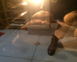 Foto del paso 11 de la receta: Pan rústico, rico en fibra