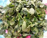 Foto langkah ke 1 dari resep Puding lumut Daun Kelor.
