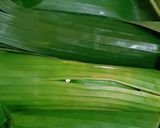 Foto langkah ke 5 dari resep Rolade tahu daun singkong.