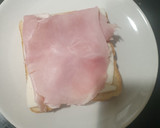 Foto del paso 1 de la receta: Bikini o Sándwich mixto