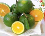 Hình bước làm 1 của món Nước cam pha mật ong