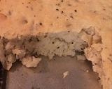 Foto del paso 6 de la receta: Focaccia
