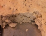 Foto del paso 6 de la receta: Focaccia