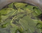 Gambar langkah 6 resipi Daun Mulberi Masak Lemak Kuning Fiber Creme.