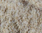 नारीयल की पंजिरी (nariyal ki panjiri recipe in Hindi) रेसिपी चरण 1 फोटो
