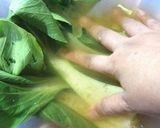 Foto langkah ke 1 dari resep Green Smoothie Pokcoy.